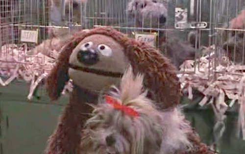 Rowlf vs. Other Muppet Dogs