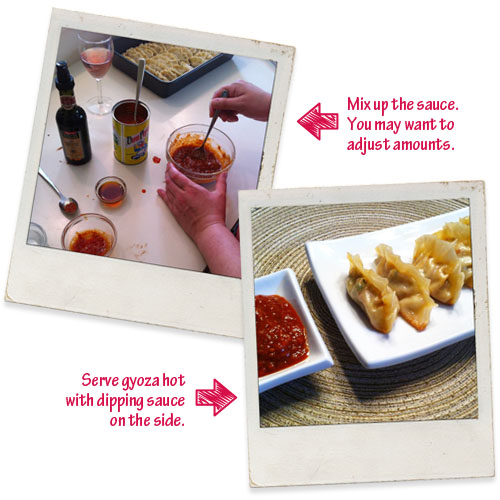 Mix dipping sauce together and serve with gyoza.